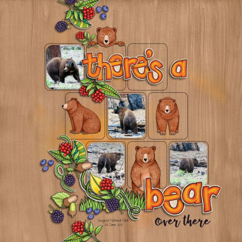There's a Bear