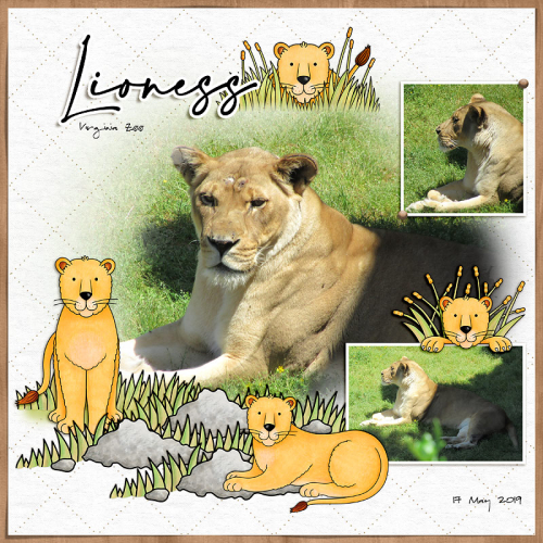 Lioness