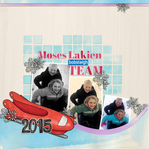 Bobsleigh Team