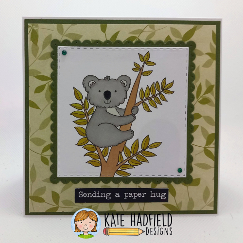 Koala Cuteness!