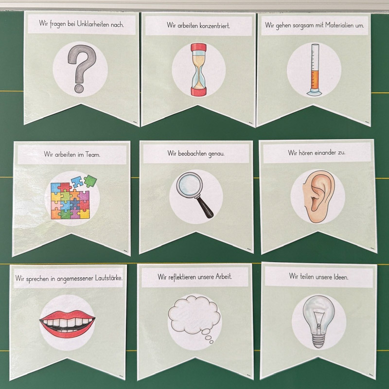 These classroom posters remind students of important expectations during science lessons. The clear visuals support positive behavior and create a focused learning environment.